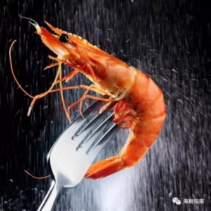 ���^���r���ˢ�����Ȧ�������rʳ�ĵı�Ʒ߉݋