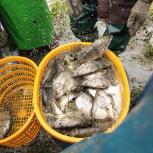 �Z�~�r����m(x��)�j�����42Ԫ/��!