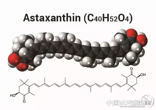 �B(y��ng)ֳ����(y��ng)ԓ���бO(ji��n)�y�B(y��ng)ֳ�r�е�ɫ�غ���