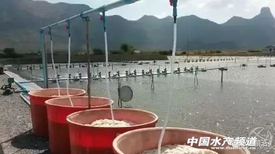 �˽⡰̼���ȡ����{(di��o)��ˮ���P(gu��n)�I