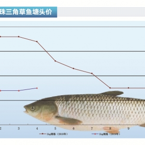 ���~���r���L�������q������ˮ�aǰ�ء�2019��6�¿��Ј�څ��