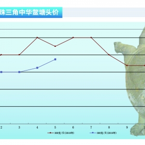 ���~�����¼��~�r��һ·�߸����M������ˮ�aǰ�ء�2019��6�¿��Ј�څ��