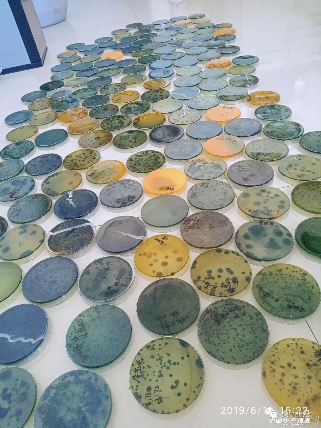 �ߜؾ��軡�����l(f��)���@���{(di��o)������Ҫ�պã�