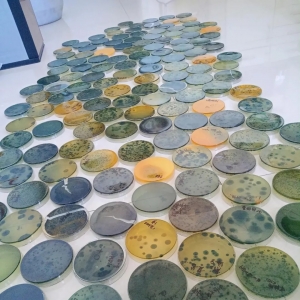 �ߜؾ��軡�����l(f��)���@���{(di��o)������Ҫ�պ���