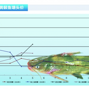 �S��~�����~�в�������Ҏ�񣬴�Ҏ�����鿴�q������ˮ�aǰ�ء�2019��6�¿��Ј�څ��