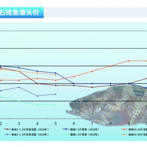 ʯ���~�����Եĳ��~�Ј���(d��o)���B(y��ng)ֳ��ϧ�ۡ�����ˮ�a(ch��n)ǰ�ء�2019��6�¿��Ј�څ��
