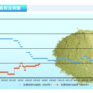 �~�ۣ�����A�����~�������_�����������~�ۃr����ʎ������ˮ�aǰ�ء�2019��6�¿��Ј�څ ...