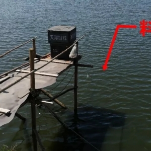 �p���B(y��ng)�r������ï�r�罻����(y��u)���ɿ���