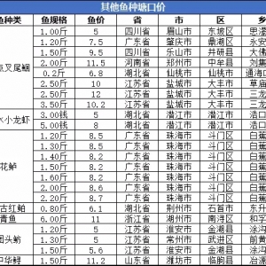�u�~�u�r�ٿ���6�µڶ��ܰ��c��β�t��С���r�����|���ڃr�񲥈�