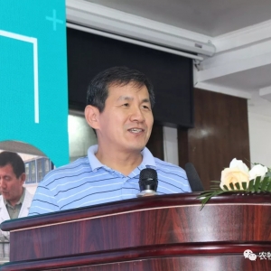 6�·������������о��Mչ����ȫ�Ժ���Ч���y�Խyһ