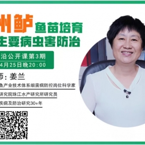 �����|�����y�P(gu��n)���أ����Ƿ�Ҳ�������@Щ���}��