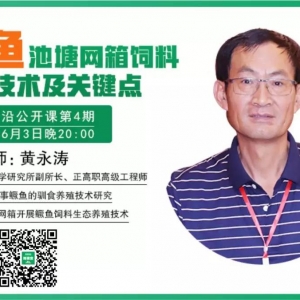 �����W(w��ng)������B(y��ng)�Z����Ҫ�cԔ��