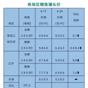 ���r���w��ƽ�ϝq���˵؅s���1.2Ԫ/�