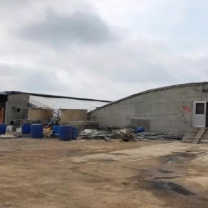 ���S���B(y��ng)�r���T����Ҳ���T��