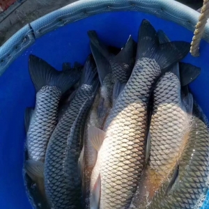 ����~���u���V�|���V����؃r(ji��)���ϝq��