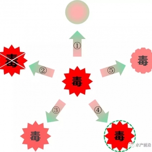 ˮ�a(ch��n)�B(y��ng)ֳ�г�Ҋ(ji��n)�Ľⶾ���N����c(di��n)