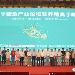 �˚ⱬ������300���R�۷�ɽ��ֻ���@�l���~