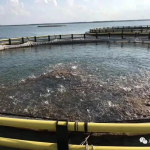 ���K�~�Ј��r���q��23Ԫ/�