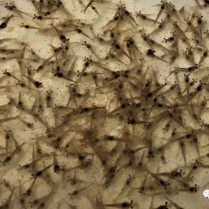 �о��l�F�������F�����߷����ͼ����ֿ��зe�OӰ�