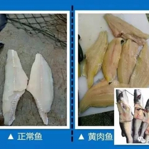 ֪��������٣����_���Ϯ���β���u���B���pʧ150�f�������Ϸ�ͥ