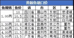 2019��6��28�ա�7��5���S��~�������ڃr