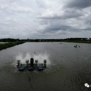 �@�l���ࡱ�~��Ҫ��