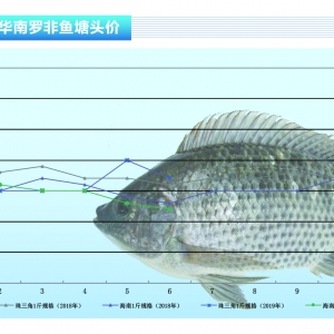 �_���~�����Q(m��o)ӆ�Μp�٣���(n��i)�N�Ј����Σ�������ˮ�a(ch��n)ǰ�ء�2019��7�¿��Ј�څ��