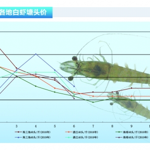 ��(du��)�r:�������rӿ���Ј�(ch��ng)���r�r(ji��)���m(x��)�ߵ͡�����ˮ�a(ch��n)ǰ�ء�2019��7�¿��Ј�(ch��ng)څ��(sh��)