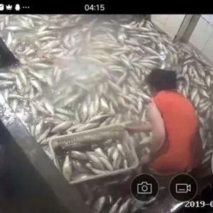 2000����|�~�����������������������