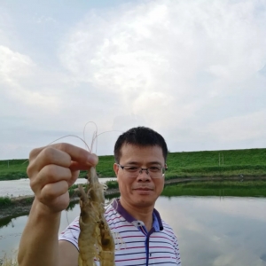 �����ˡ��B�r�������a�p���^ǧ�����ҳɹ��ʸ�