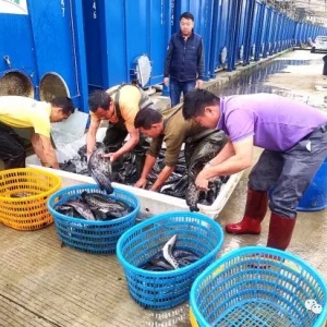 ���b���Bֳ���������A�Σ�����lչ�ѳ�څ��