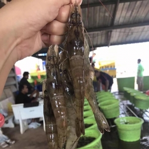 ���r���Л_���Ј��������ǡ������r�r�»�