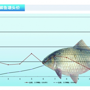 �a�~��������Ű���r��ߡ�����ˮ�aǰ�ء�2019��7�¿��Ј�څ��