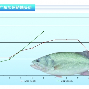 �����|�������~�rͬ��ȥ���1-4.5Ԫ/�ﲻ�ȣ�������ˮ�aǰ�ء�2019��7�¿��Ј�څ��