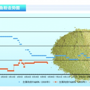 �~�ۣ��²������~��ɰ˳ɣ����ȸۿڎ���λ�\�С�����ˮ�aǰ�ء�2019��7�¿��Ј�څ�� ...