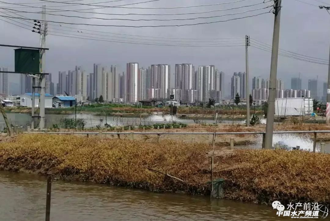 �á��󔵓�������һ�l�~�ĝ���