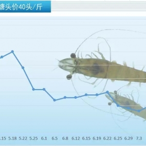 �V�|�؅^�Ե������ݣ������r�r���m�؜�