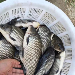 ��ر��l�i�����a�~�r����F���q