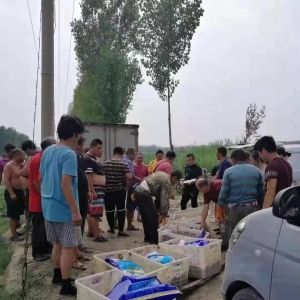 Ψ׃���г�·����������ģʽ������ʽ���r��