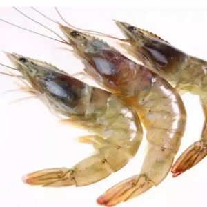 ���r�r�^׃ɫ��ԭ�򾿾���ʲô��