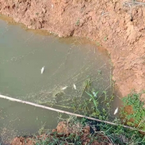 30�f(w��n)�Z�~(y��)���ˮƯ���B(y��ng)��(h��)��ʹ���r��