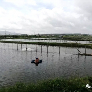 ���պ��ĸ�������200�|β�r���Ј��l������