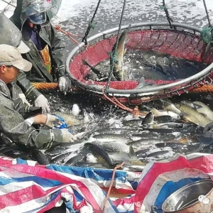 ����ϼӺò��������W����~�Bֳ