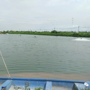 78�q���˵ġ������B�r���¼��g