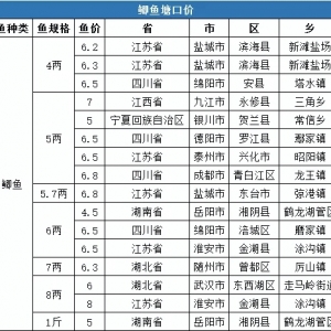 �����Нq��8�µ�һ��ȫ���a�~���ڃr�񲥈�