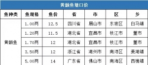 ���ַ�����8�µ�һ��ȫ���S��~���ڃr�񲥈�