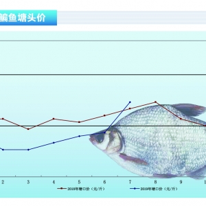���~�������p�٣��r�����С�����ˮ�aǰ�ء�2019��8�¿��Ј�څ��