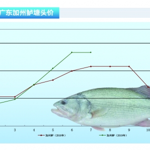 �����|��������S���ӣ��q�����_3Ԫ/�����ˮ�aǰ�ء�2019��8�¿��Ј�څ��