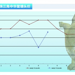 ���~�����~ƽ����ĸ�~С��������ˮ�aǰ�ء�2019��8�¿��Ј�څ��