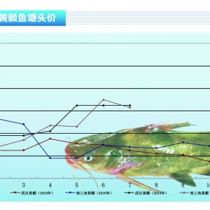 �S��~���~�r(ji��)���Σ����п��ڡ�����ˮ�a(ch��n)ǰ�ء�2019��8�¿��Ј�څ��(sh��)